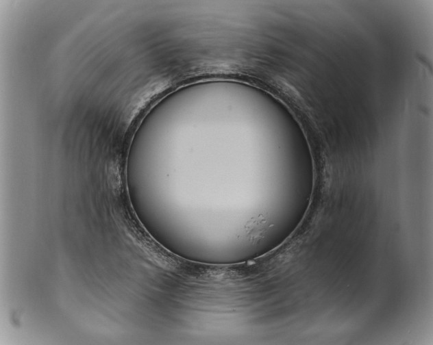 X0000100981218200807081235