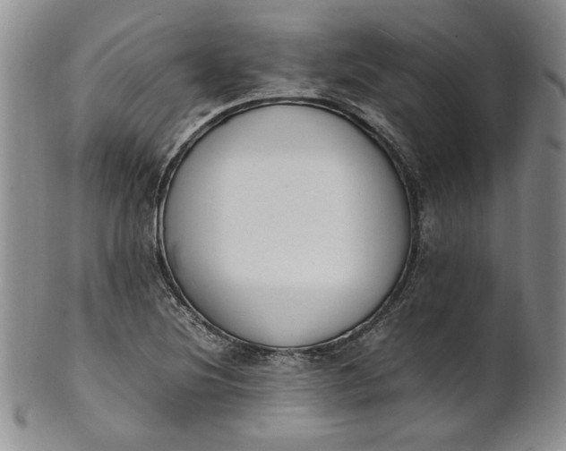 X0000100981220200807081235