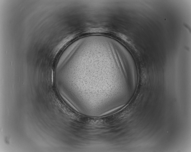 X0000100981221200807081235