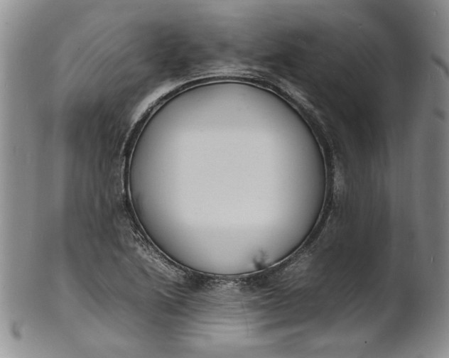 X0000100981222200807081235