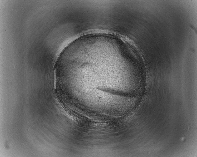 X0000100981223200807081235