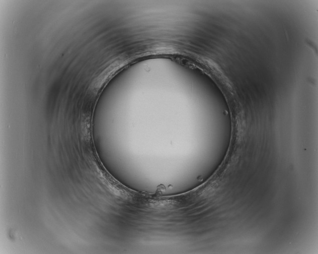 X0000100981225200807081235