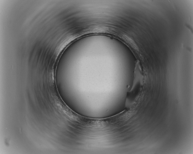 X0000100981226200807081235