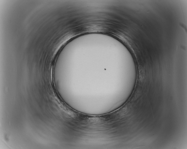 X0000100981227200807081235