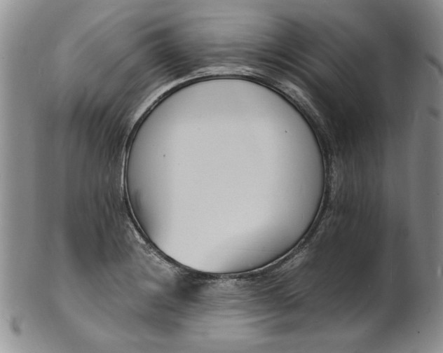 X0000100981228200807081235