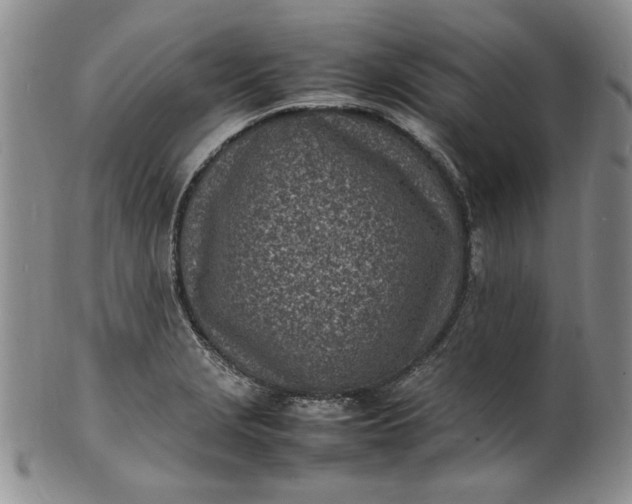 X0000100981229200807081235