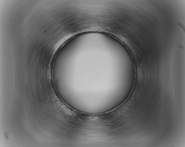 X0000100981230200807081236