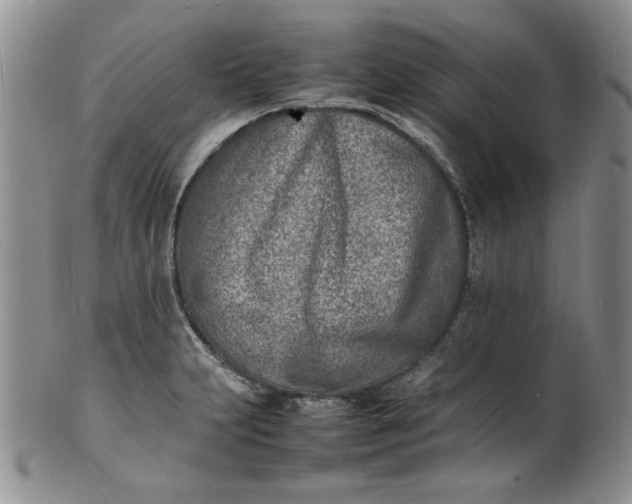 X0000100981231200807081236