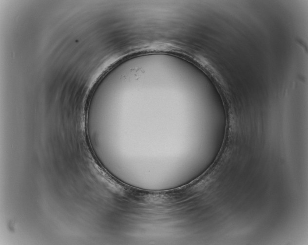 X0000100981232200807081236