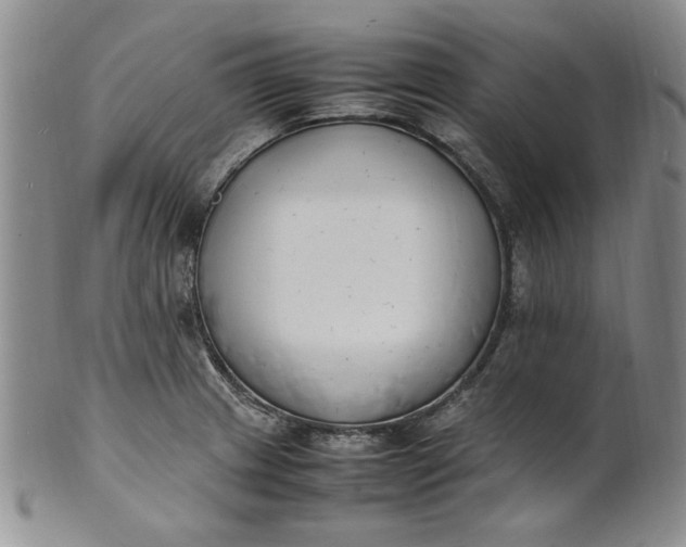 X0000100981233200807081236