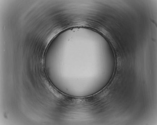 X0000100981234200807081236