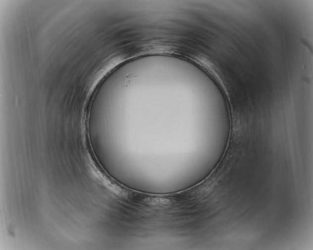 X0000100981235200807081236