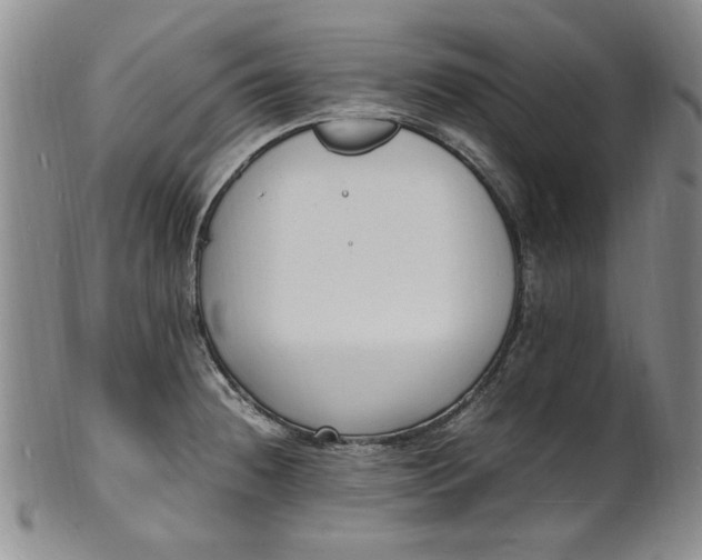 X0000100981236200807081236