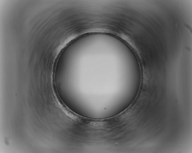 X0000100981237200807081236