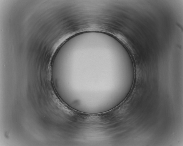 X0000100981238200807081236