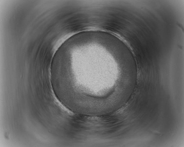 X0000100981239200807081236