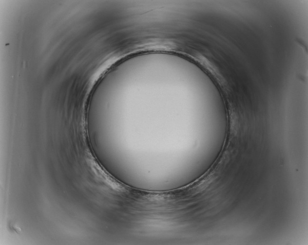 X0000100981240200807081236