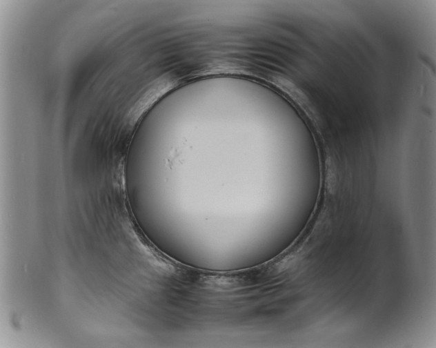 X0000100981241200807081236