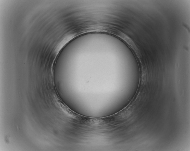 X0000100981242200807081236