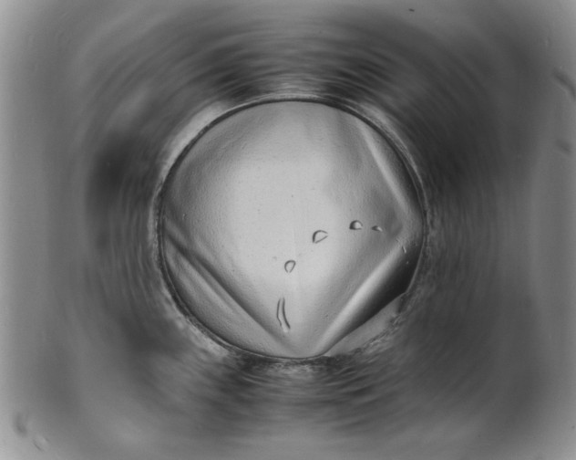 X0000100981243200807081236