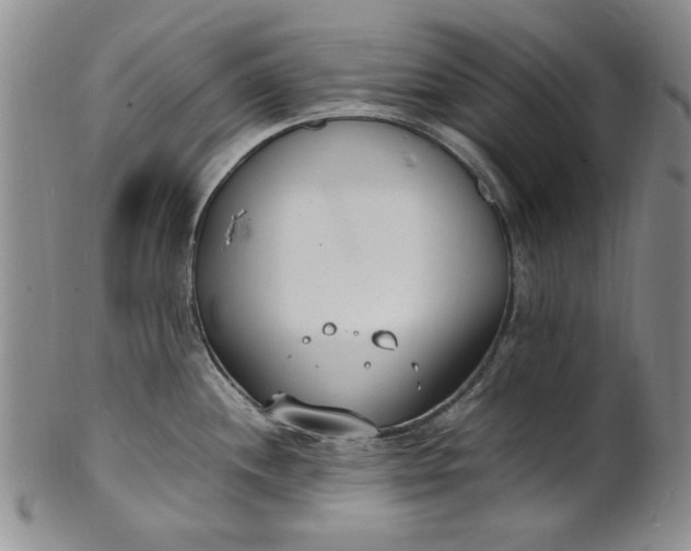 X0000100981244200807081236