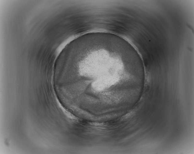 X0000100981245200807081236