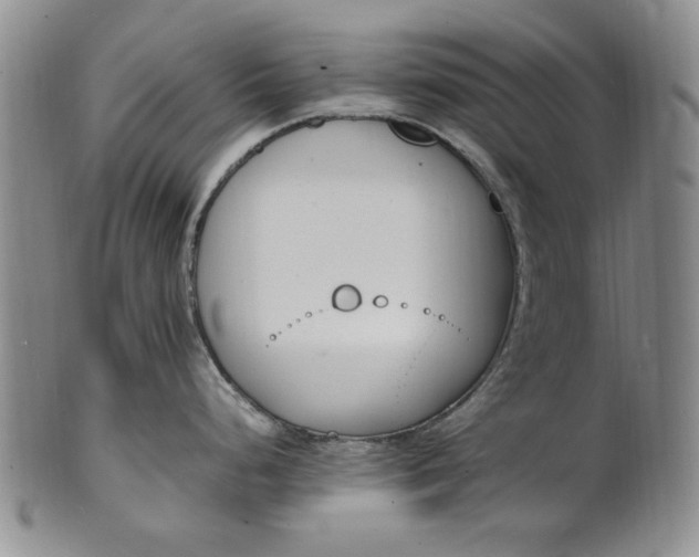 X0000100981248200807081236