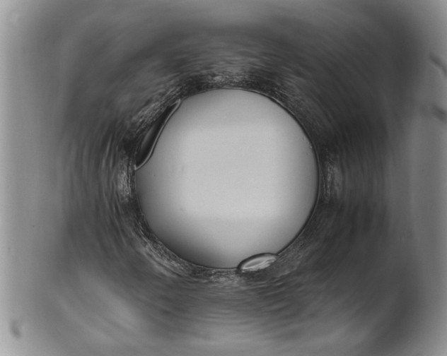 X0000100981250200807081235