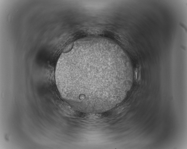 X0000100981251200807081235