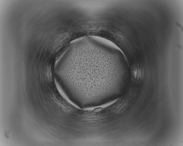 X0000100981252200807081235