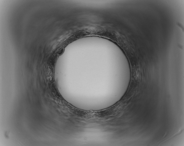 X0000100981253200807081235