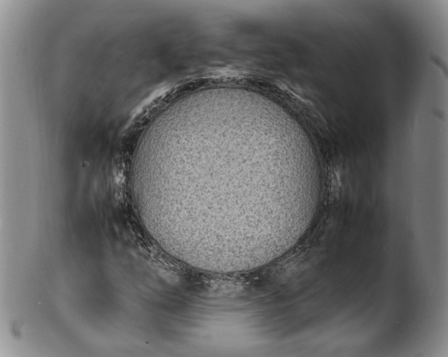 X0000100981254200807081235