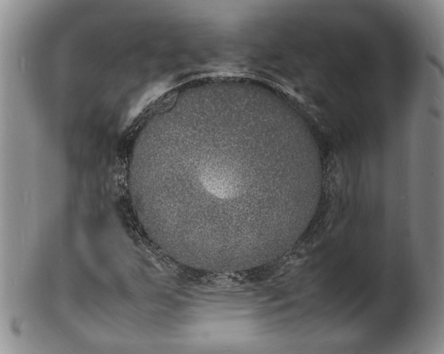 X0000100981255200807081235