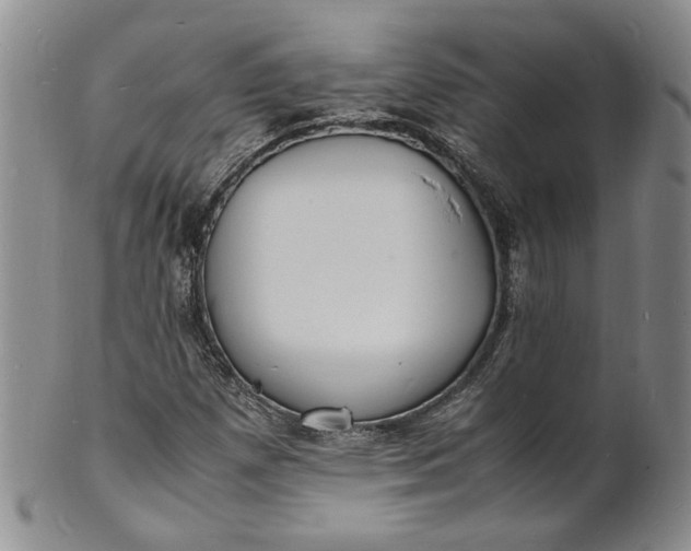 X0000100981257200807081235