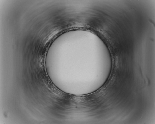 X0000100981258200807081235