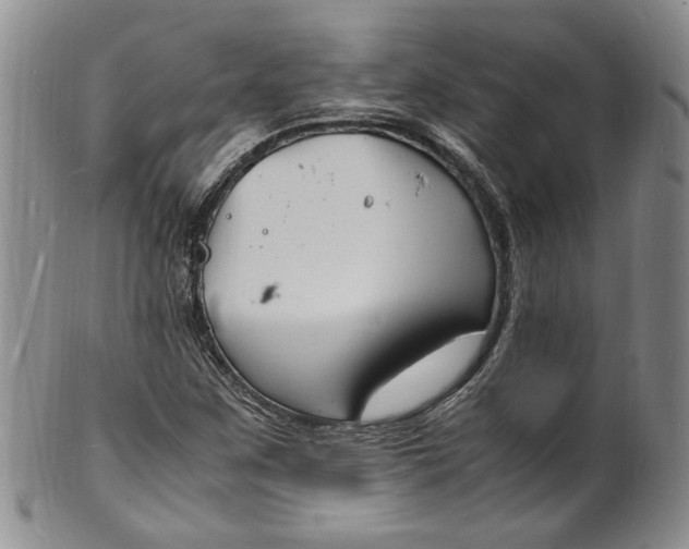 X0000100981259200807081235