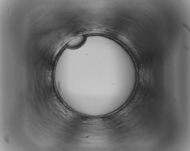 X0000100981260200807081235