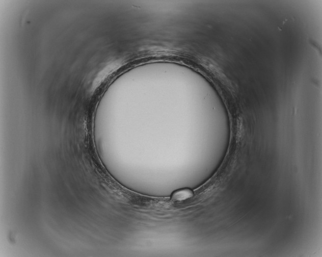 X0000100981261200807081235