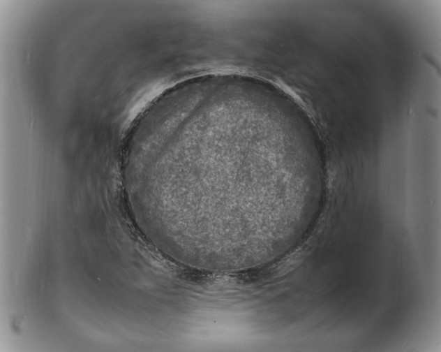 X0000100981263200807081235