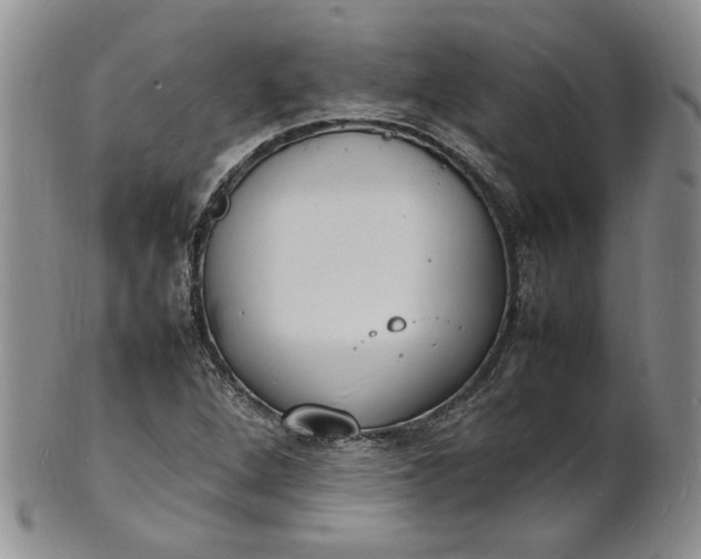 X0000100981264200807081235