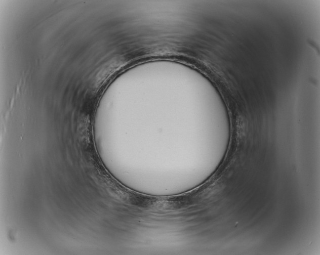 X0000100981265200807081235