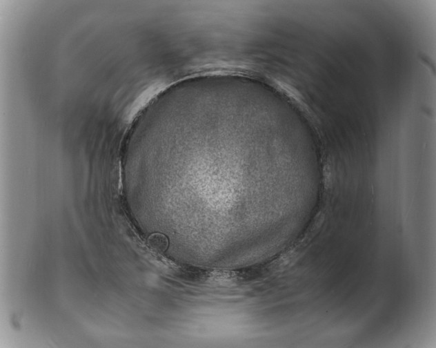 X0000100981267200807081235