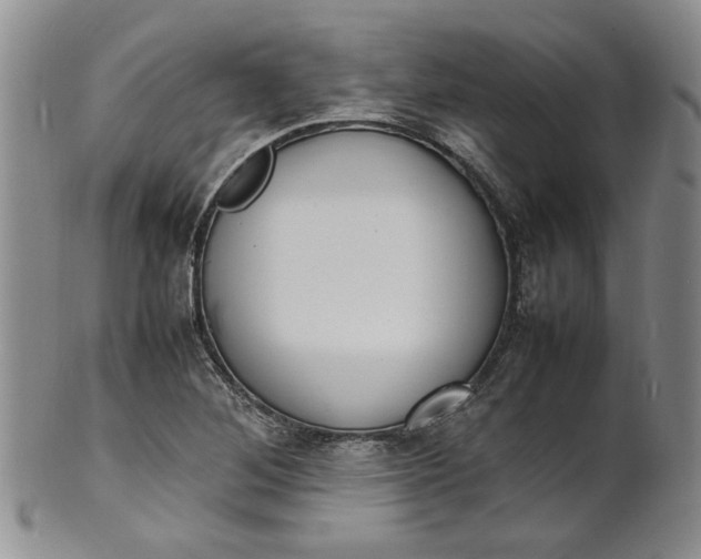 X0000100981268200807081235