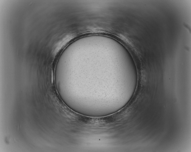 X0000100981269200807081235