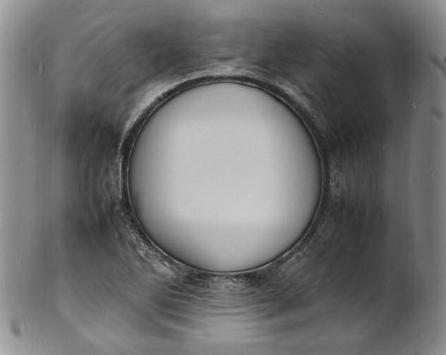 X0000100981270200807081235