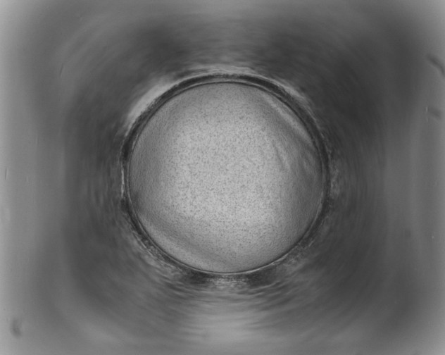 X0000100981271200807081235