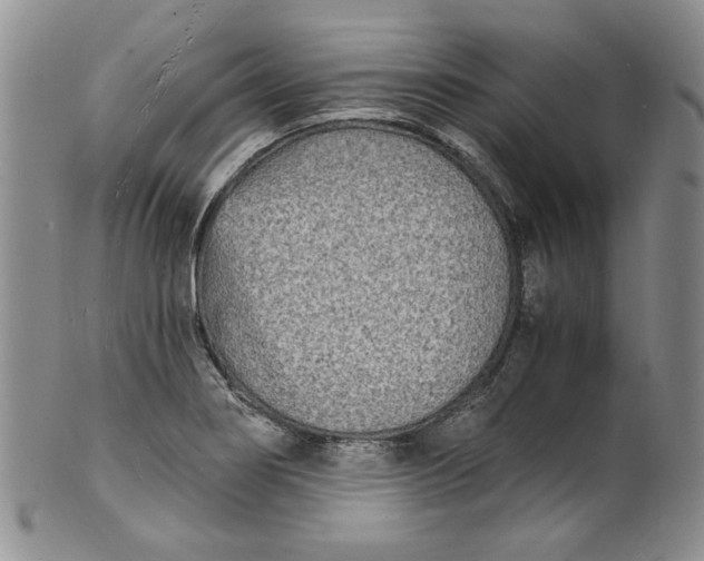 X0000100981274200807081235