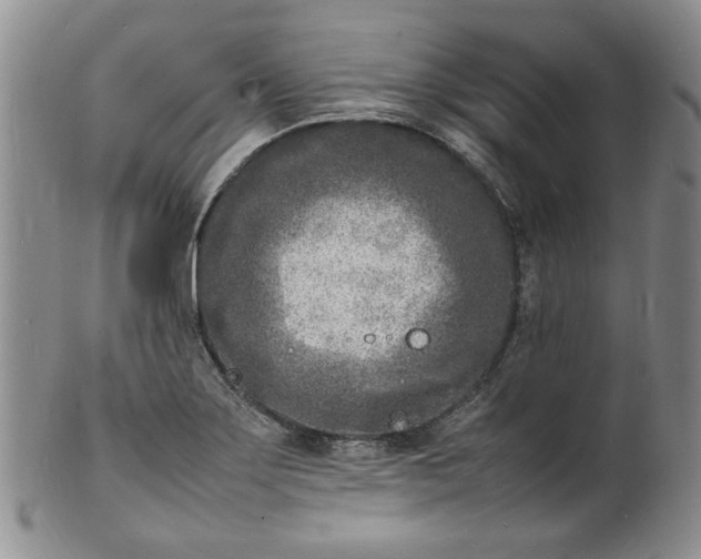 X0000100981275200807081235