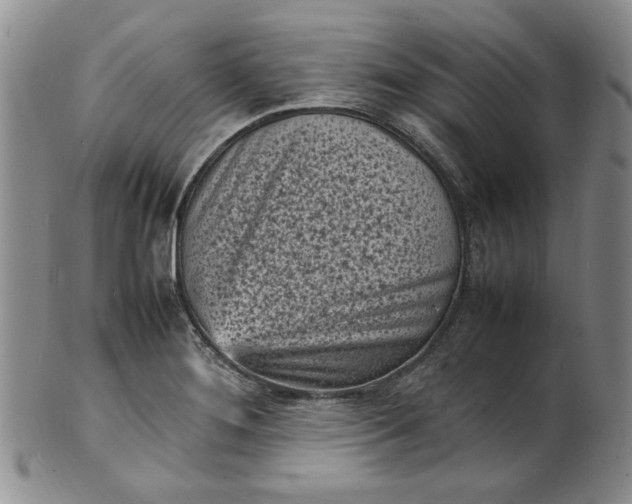 X0000100981276200807081235