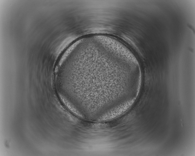 X0000100981277200807081235